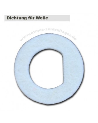 Dichtung für Welle beim A25GSP